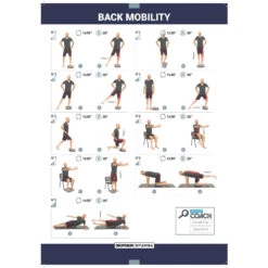 Fitness Adjustable Back Mobility Fabric Balance Cushion 11 Fitness Adjustable Back Mobility Fabric Balance Cushion -Fitness Equipment Store k1164bd44185c073c7437faec2213039e scaled