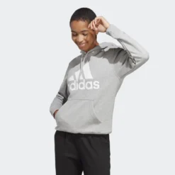ADIDAS Essentials Big Logo Regular French Terry Hoodie 16 ADIDAS Essentials Big Logo Regular French Terry Hoodie -Fitness Equipment Store k18b4e9ff858ff757b417e6937d7213cb