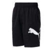 PUMA Mens Essential Regular Fit Woven 9" Shorts