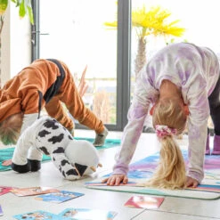 Myga Miss Molly Myga - The Moo 11 Myga Miss Molly Myga - The Moo -Fitness Equipment Store k29969c206071be769aae1909b5cf94af