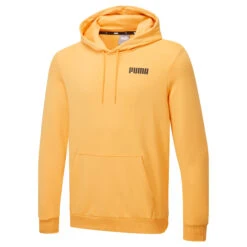 PUMA Mens Essentials Hoodie