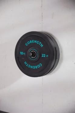 CORENGTH Wall-Mounted Disc Holder