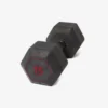 CORENGTH Hexagonal Cross Training Hex Dumbbell 15 Kg