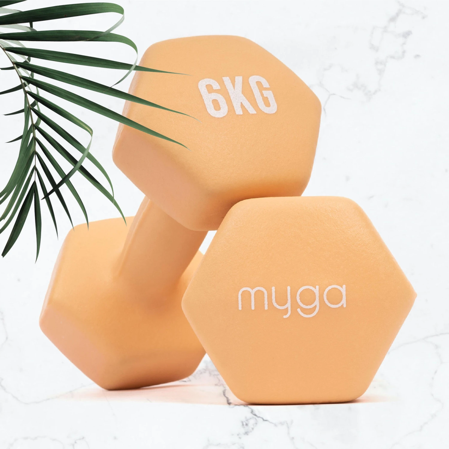 Hexagonal Dumbbell 9 Hexagonal Dumbbell - Image 9