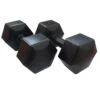 HXGN 2 X 8kg Hex Dumbbells