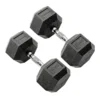 York 20kg Commercial Rubber Hex Dumbbells Weights