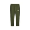 PUMA Mens EVOSTRIPE Sweatpants